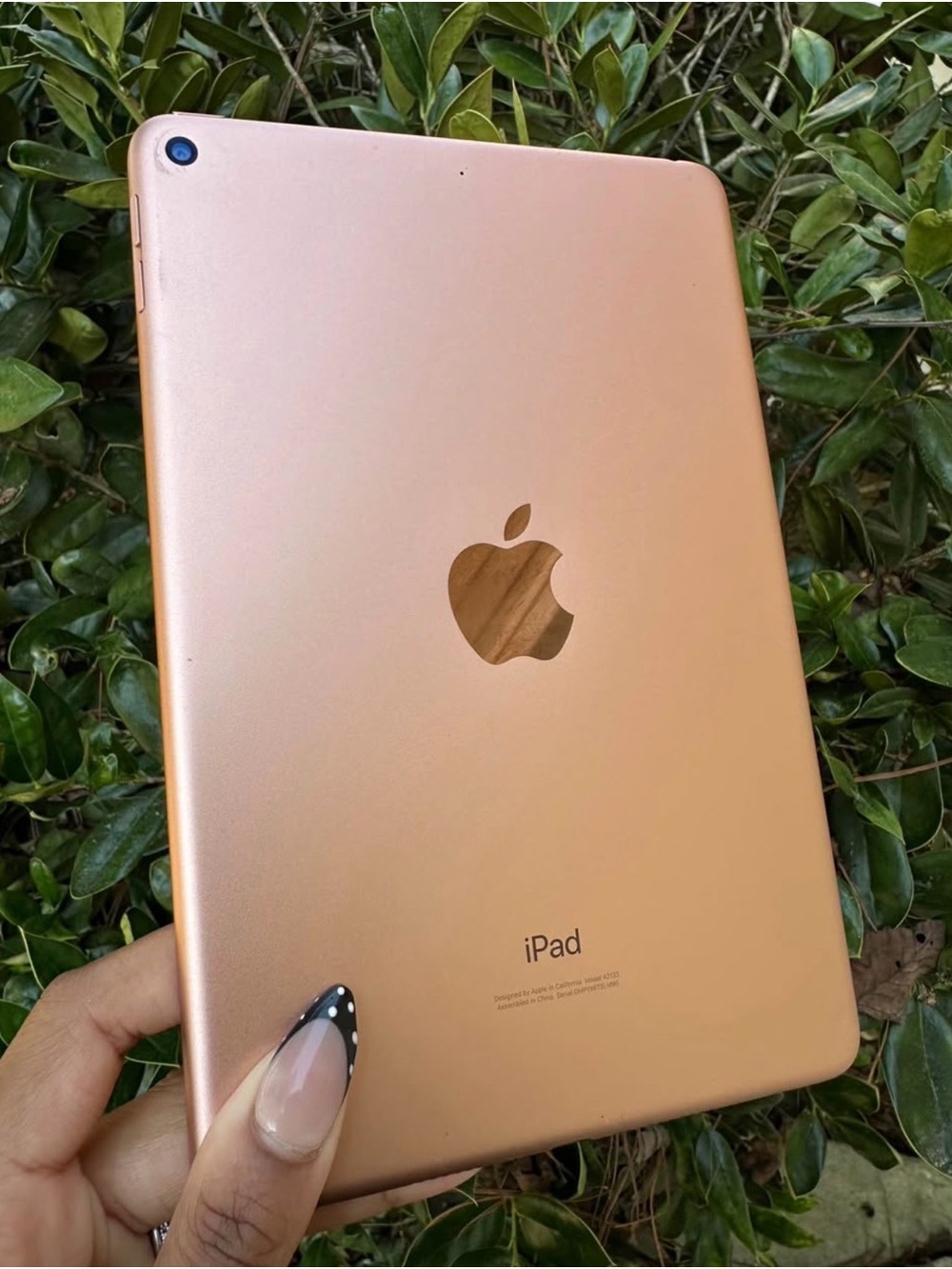 Apple iPad Mini 5 - Rose Gold